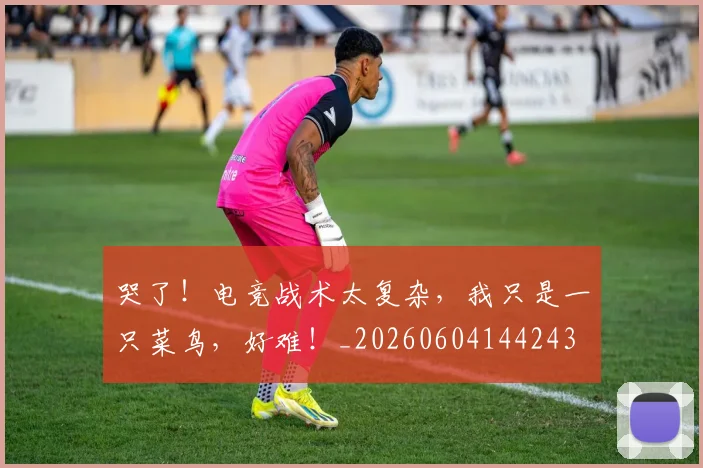 哭了！电竞战术太复杂，我只是一只菜鸟，好难！_20260604144243