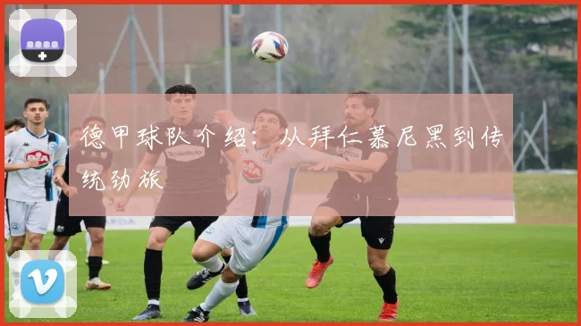德甲球队介绍：从拜仁慕尼黑到传统劲旅
