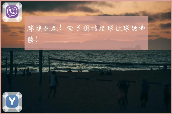 球迷狂欢！哈兰德的进球让球场沸腾！